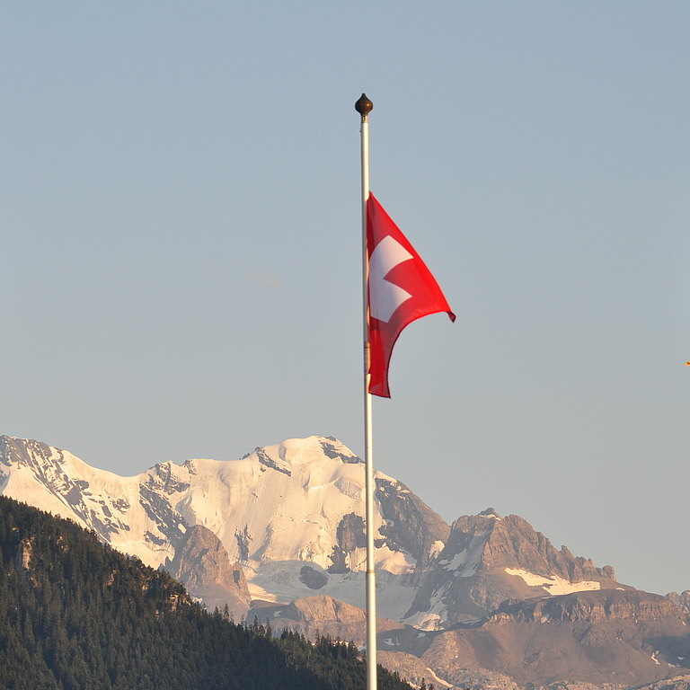 1._August-2012-Fahnen.JPG