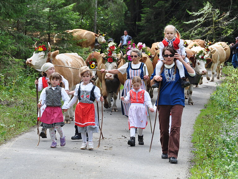 Alpabzug_2012_5.JPG 