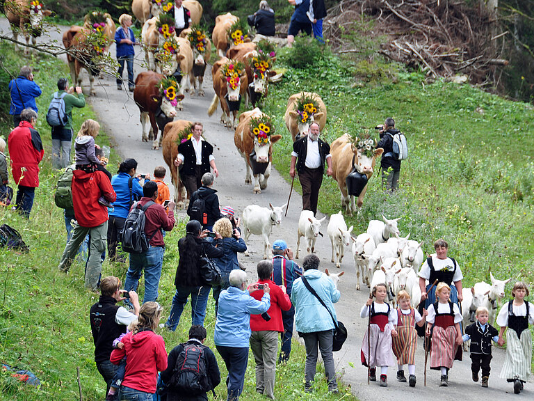 Suldtalmarkt_mit_Alpabzug_Sept_2012_034.jpg 