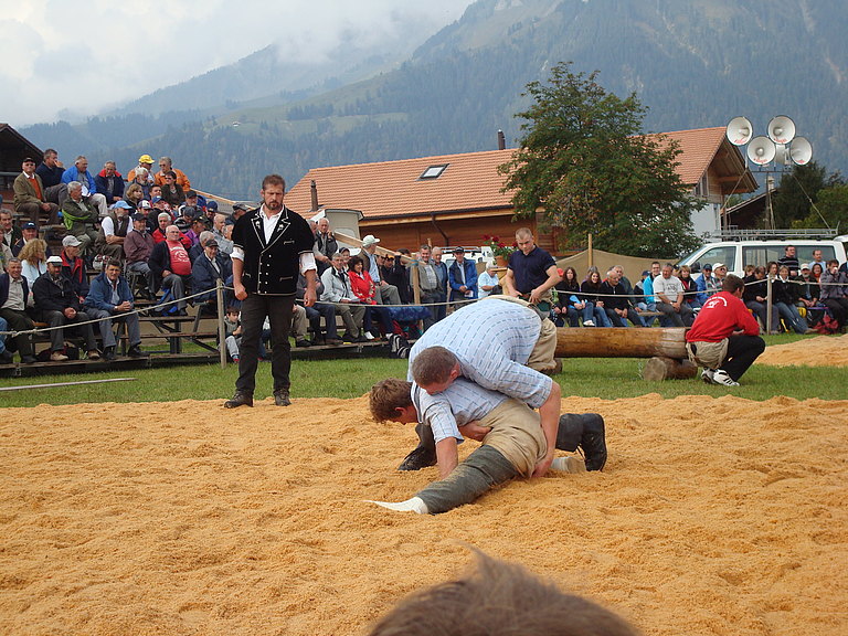 Chemihuette-Schwinget-2009-1.jpg 