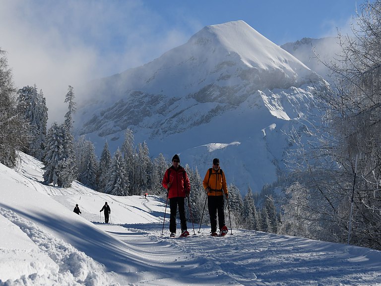 Schneeschuhlaufen.JPG 