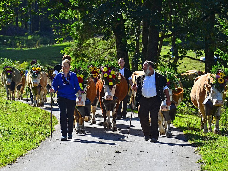 Alpabzug_2013_3.jpg 