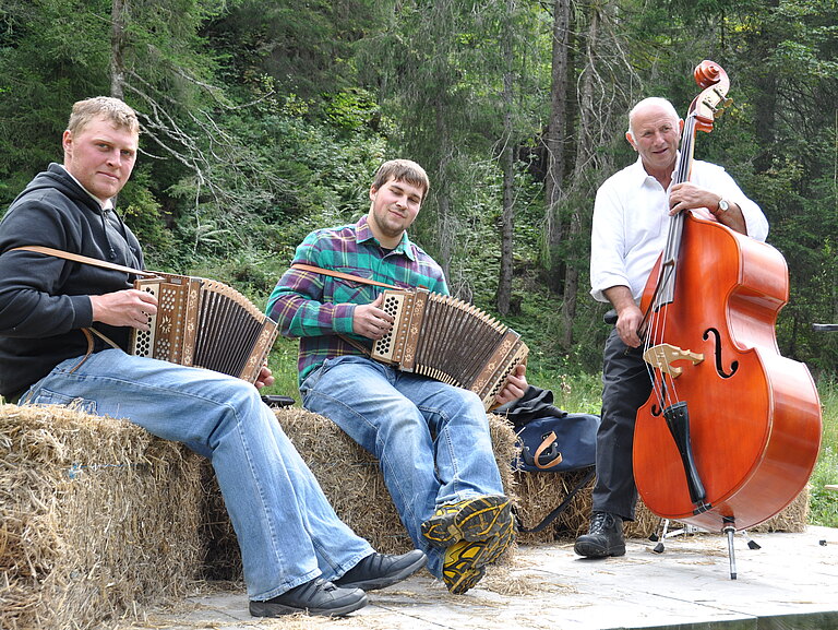 Alpabzug_2012_2.JPG 