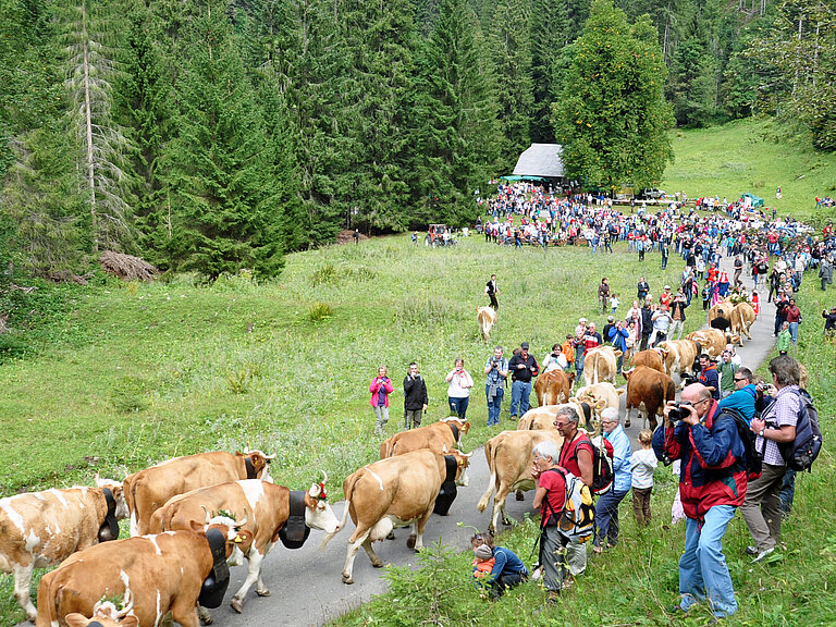 Suldtalmarkt_mit_Alpabzug_Sept_2012_013.jpg 