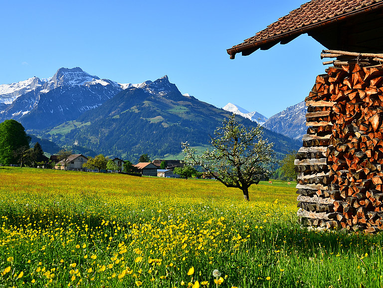 Aeschi-Landschaft-Frühling-2.jpg 