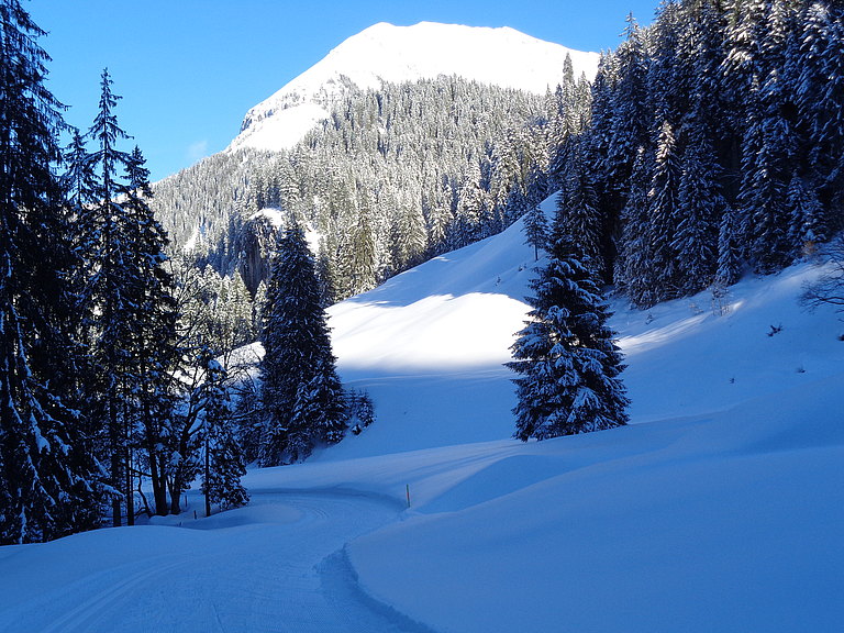 Langlaufen-Obersuld-1.JPG