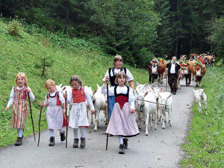 Alpabzug02.jpg 