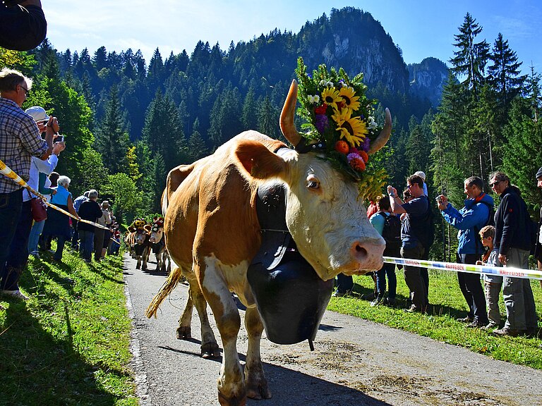 Alpabzug_2013_1.jpg 