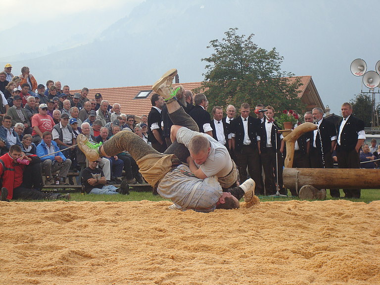 Chemihuette-Schwinget-2009-2.jpg 