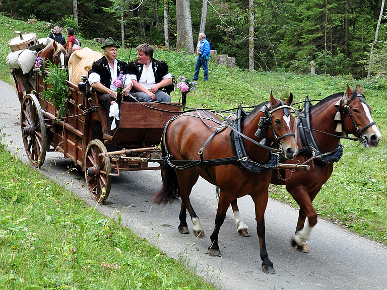 Suldtalmarkt_mit_Alpabzug_Sept_2012_020.jpg 