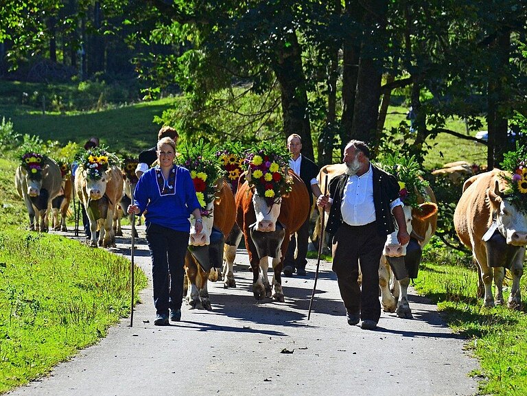 Alpabzug_2013_7.jpg 
