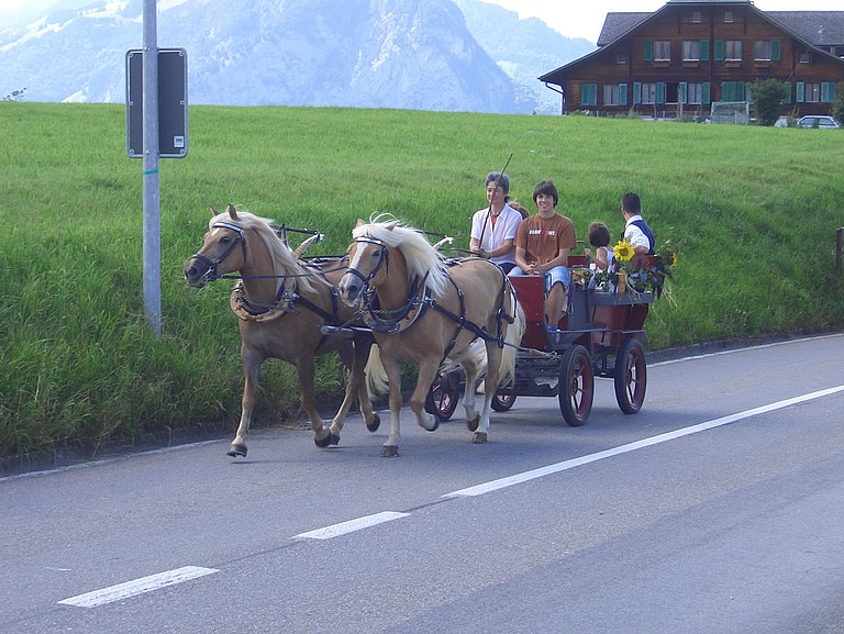 Kutschenfahrten.JPG 