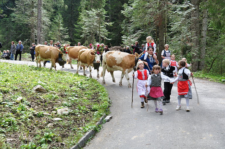 Alpabzug_2012_4.JPG 