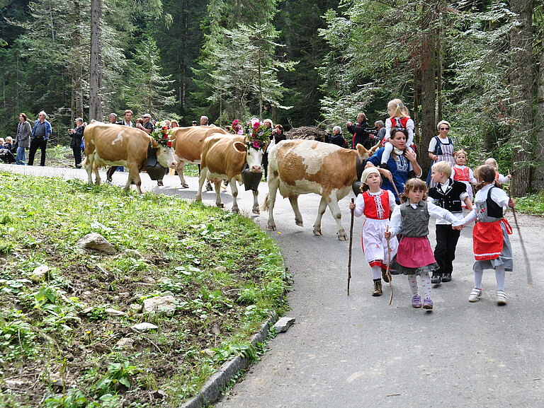 Alpabzug_2012_4.JPG 