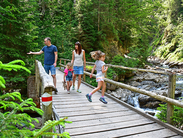 Brücke-Familie-Sommer.jpg 