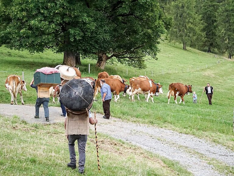 Bild_Plattformj5.jpg 