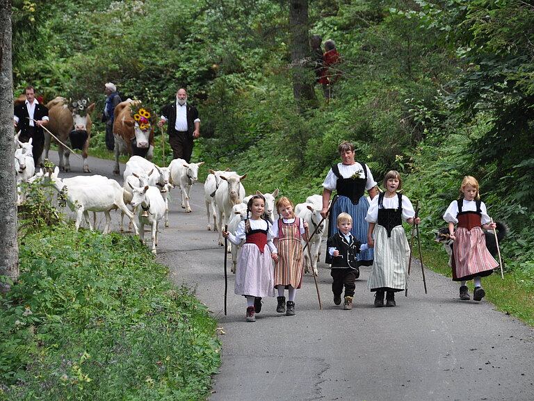 Alpabzug_2012_7.JPG 