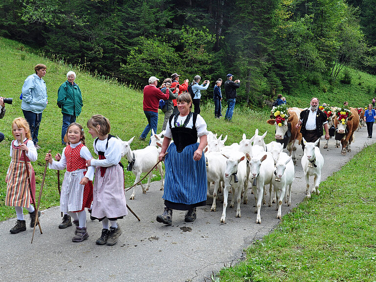 Alpabzug03.jpg 