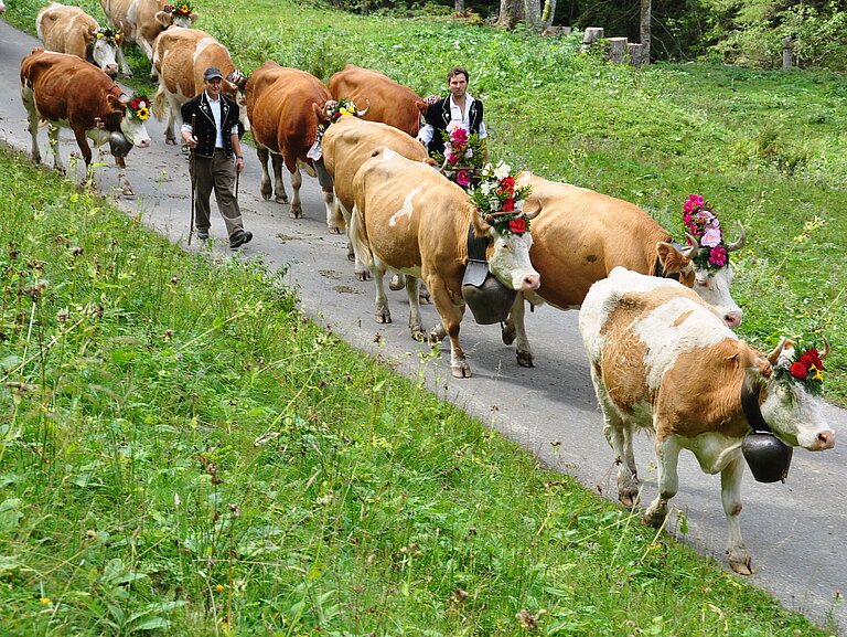 Alpabzug_2012_6.JPG 