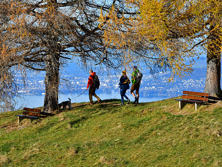 Herbstwanderung-Aeschiried-4.jpg 