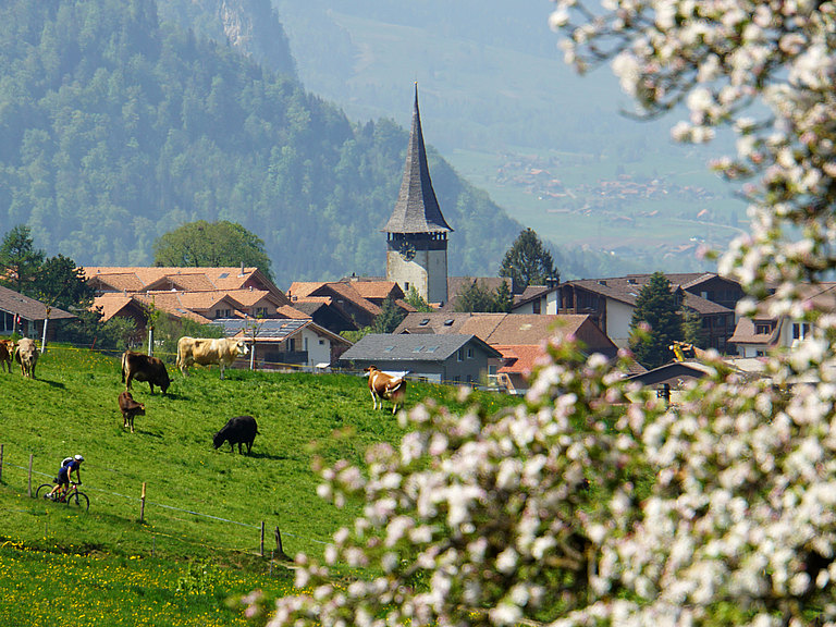 Aeschi-Landschaft-Frühling-17.jpg 