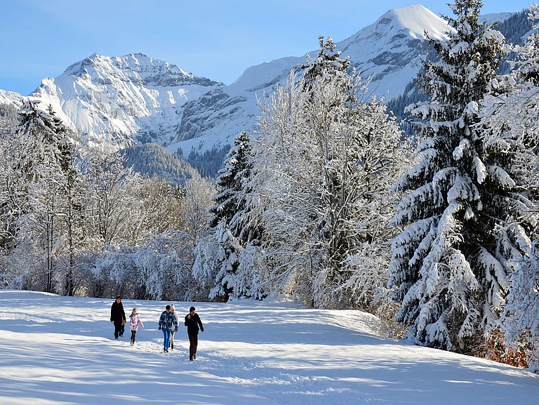 Winterwandern.jpg 