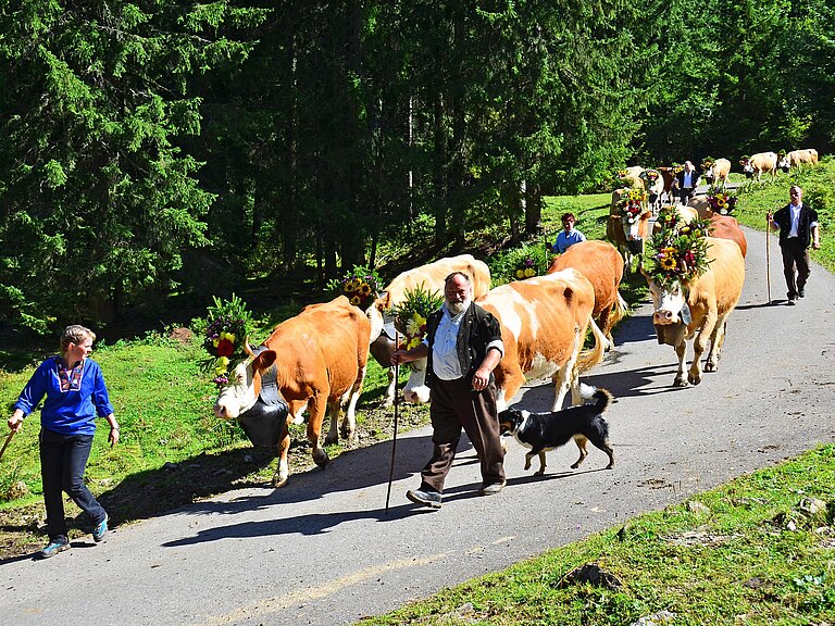 Alpabzug_2013_4.jpg 