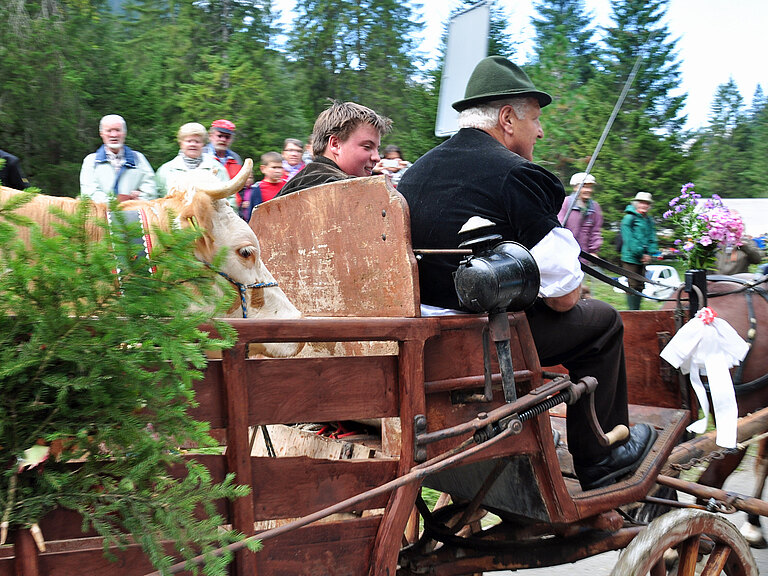 Suldtalmarkt_mit_Alpabzug_Sept_2012_024.jpg 