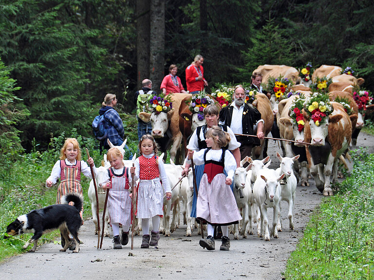 Alpabzug01.jpg 