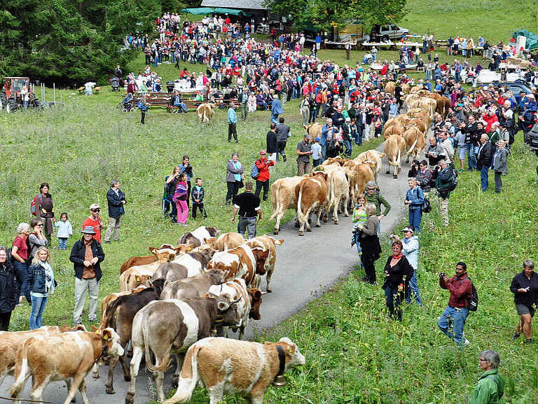 Suldtalmarkt_mit_Alpabzug_Sept_2012_014.jpg 