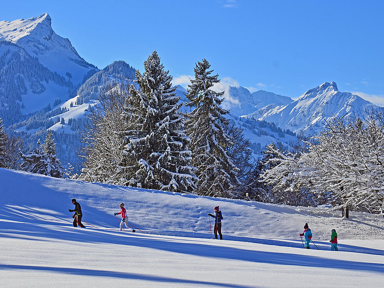 Langlauf-Aeschiried-11.jpg
