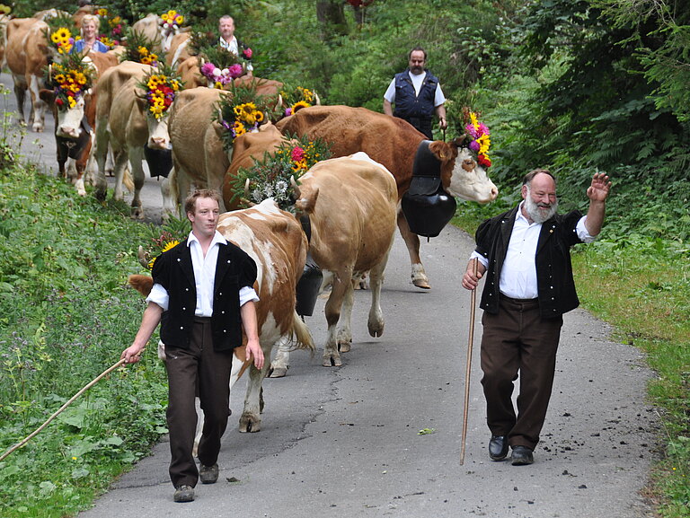 Alpabzug_2012_8.JPG 