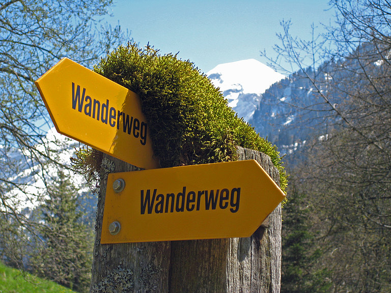 Aeschiried-Wegweiser-Fruehling.jpg