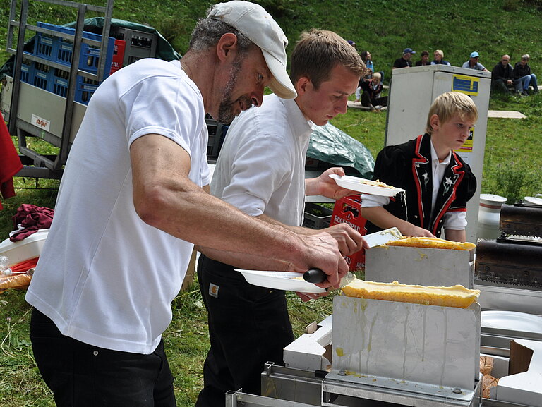 Alpabzug_2012_1.JPG 