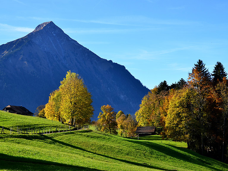 Aeschiried-Landschaft-Herbst-6.jpg 