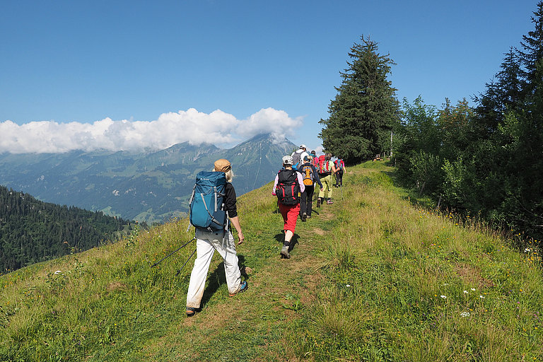 Gefuehrte Wanderung-Wandernacht-1.JPG 