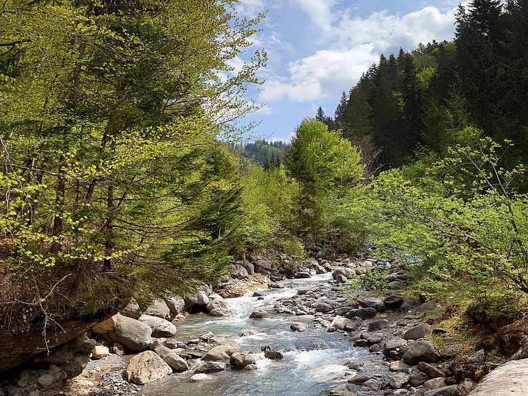 Suldbach-Frühling-1.jpg 