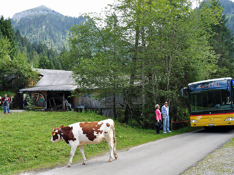 Suldtalmarkt_mit_Alpabzug_Sept_2012_003.jpg 