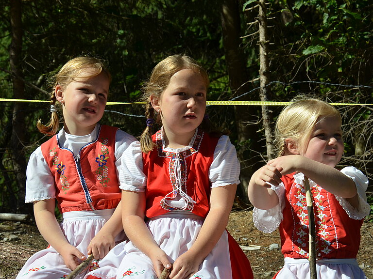Alpabzug_2013_5.JPG 