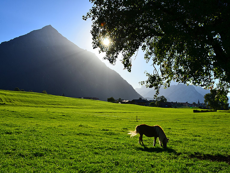 Aeschi-Landschaft-Sommer-3.jpg 