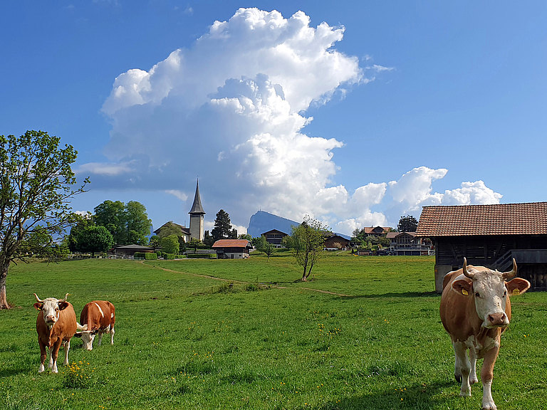 Aeschi-Landschaft-Frühling-6.jpg 