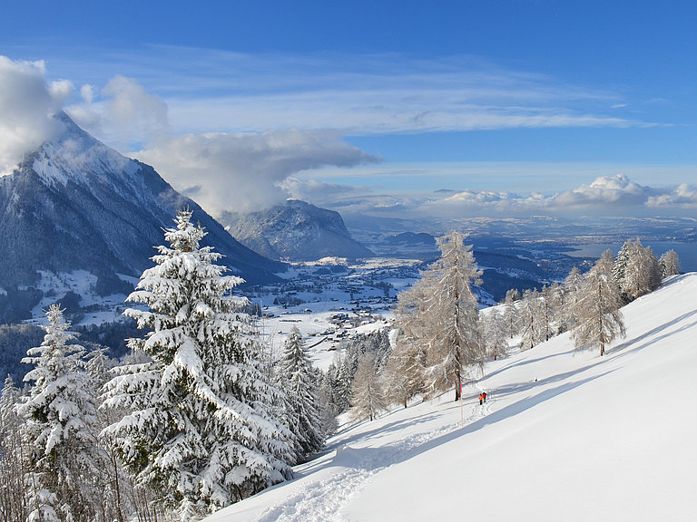 Aeschiallmi-Winterlandschaft-1.jpg 